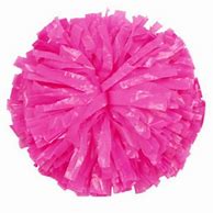 Image result for Neon Pink Cheer Poms