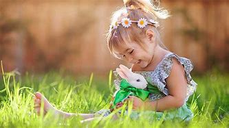 Image result for Common Diseases in Rabbits