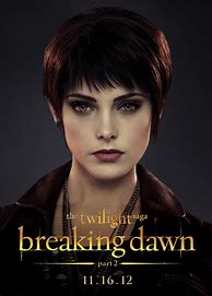 Image result for Twilight Dawn Poster