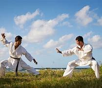 Image result for Karate Fighting Styles
