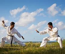 Image result for A Karate or Martial Arts