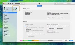 Image result for iTunes Download Reset iPhone