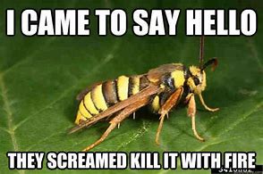 Image result for Bee Memes