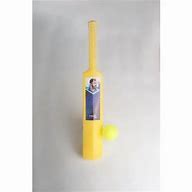 Image result for Cricket Bat Ball