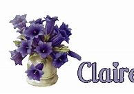 Image result for Clair's Phne