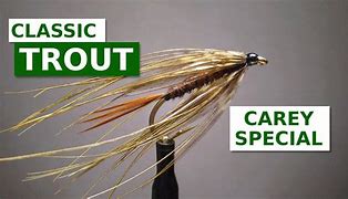 Image result for Green Lagoon Special Fly Pattern