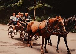 Image result for Large Horse Cart