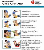Image result for Kinds of CPR