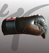 Image result for Martial Arts Cloth Gloves