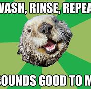 Image result for Rinse and Repeat Meme
