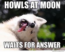 Image result for Moony Wolf Memes