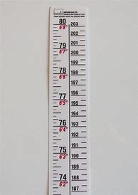 Image result for Free Printable Wall Height Chart in Inches