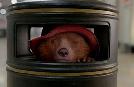 Image result for Paddington Bear Film