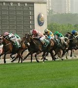 Image result for Hong Kong Horse Racing