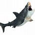 Image result for Toy Shark PFP