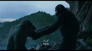 Image result for Apes Together Strong Dancing
