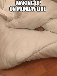 Image result for Wake Up Monday Memes
