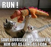 Image result for Funny Jokes Fighting