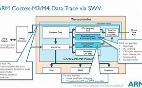Image result for ARM Cortex M4 for MCQ