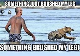 Image result for Dirty Beach Memes