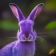 Image result for Ugly Rabbit Specie