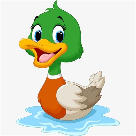 Image result for R Language Example Code