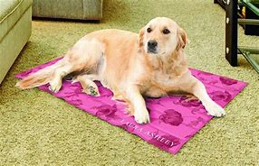 Image result for Best Cooling Dog Beds