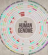 Image result for Mapping the Human Genome