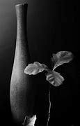 Image result for Black and White Still Life Film Photography