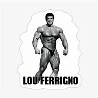 Image result for Lou Ferrigno