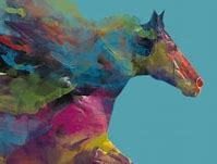 Image result for Paint Horse NFR