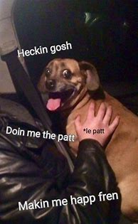 Image result for Heckin Doggo Meme