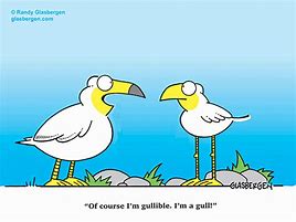 Image result for Funny Bird Cartoons