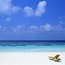 Image result for Caribbean Beach Sunset Desktop