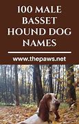 Image result for Hound Dog Names
