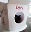 Image result for Cat in Take Out Chinese Box