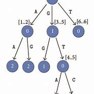 Image result for Compact Prefix Tree