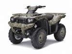 Image result for Brute Force 750 Lifted