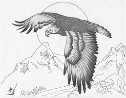 Image result for Pencil Drawing Eagle Wings
