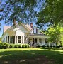 Image result for White House Magnolia Tree