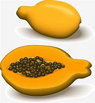Image result for Orange Papaya Clip Art