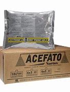 Image result for acefato