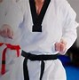 Image result for Hapkido