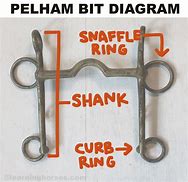 Image result for Pelham Bit and Bridle Diagram