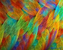 Image result for Rainbow Feather Wallpaper