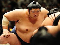 Image result for Sumo Wrestling Referee