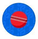 Image result for Cricket Number Disabled Text/Image