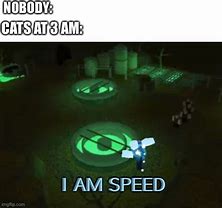 Image result for I AM Speed Cat Meme