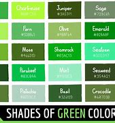 Image result for Light Green Color RGB