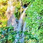 Image result for Shenandoah National Park Virginia Where Is Waterfall Moss